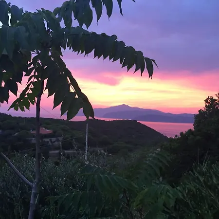 Casina Innamorata Tra Natura E Mare - Elba Affitti Appartement *