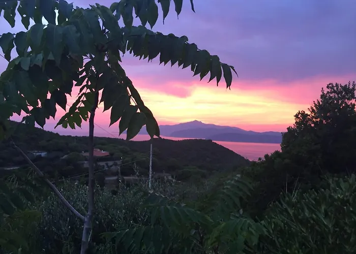 Casina Innamorata Tra Natura E Mare - Elba Affitti Appartement *